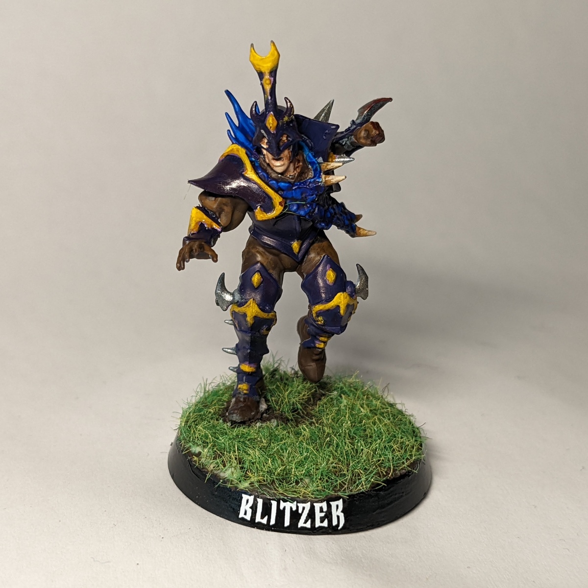 Dark Elves Blood Bowl