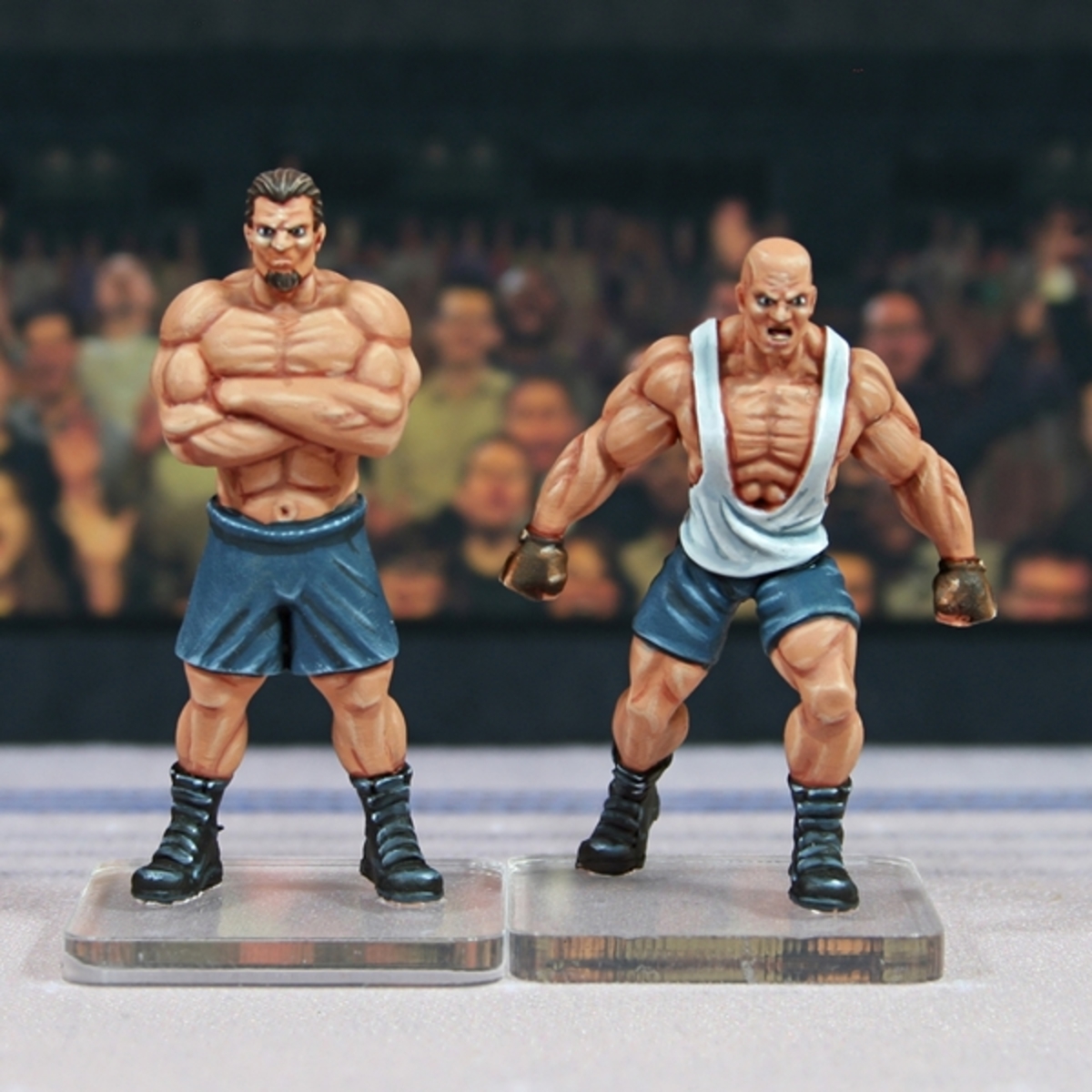 Rumbleslam: Human Brawler & Grappler