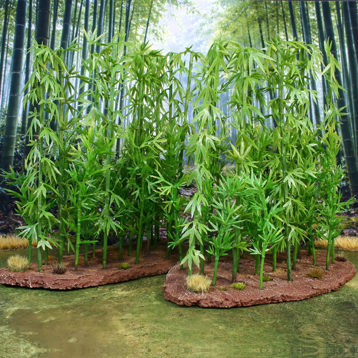 Bamboo Forest