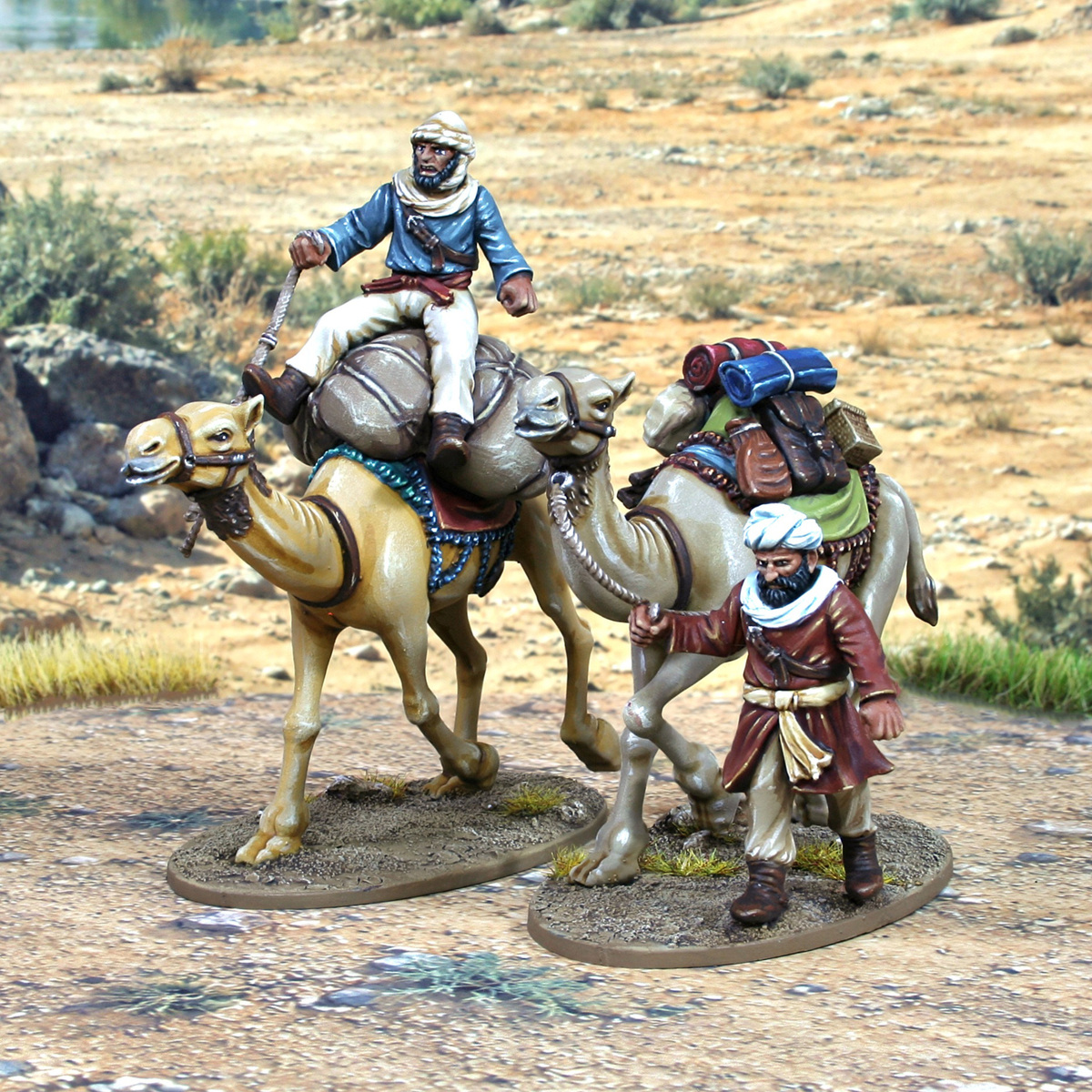 Camel Caravan 