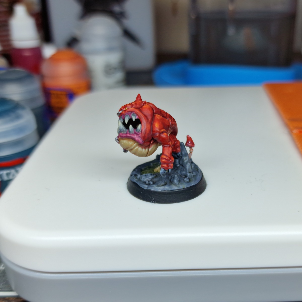 Squig Red